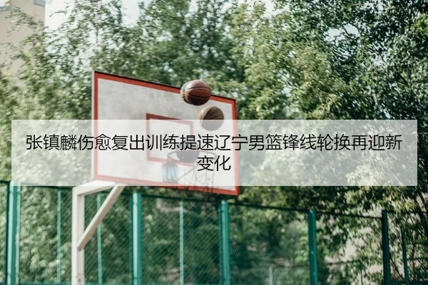 张镇麟伤愈复出训练提速辽宁男篮锋线轮换再迎新变化